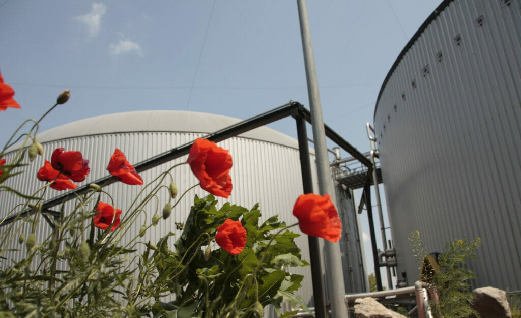 Biogasanalage Bruck